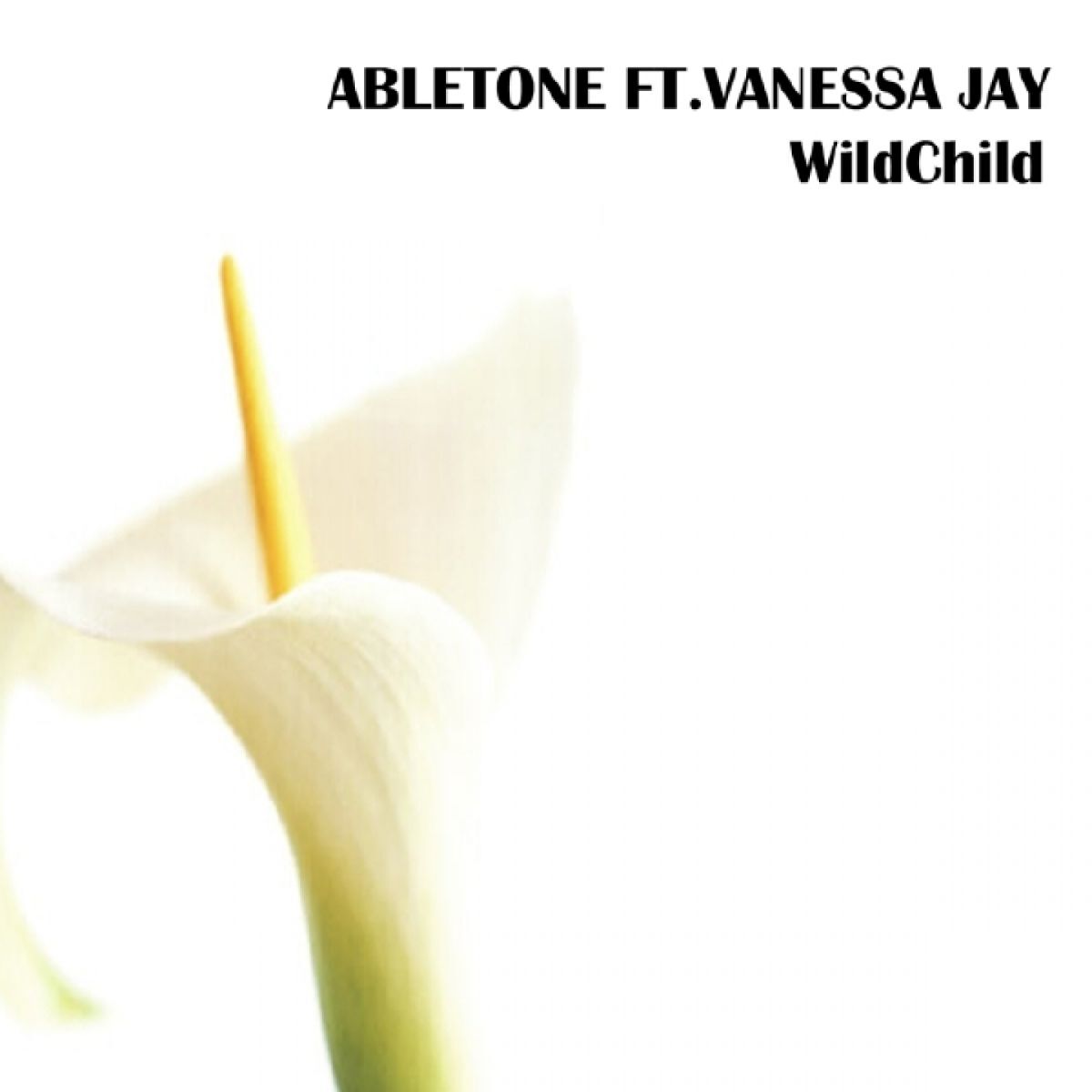 Album cover of Wildchild