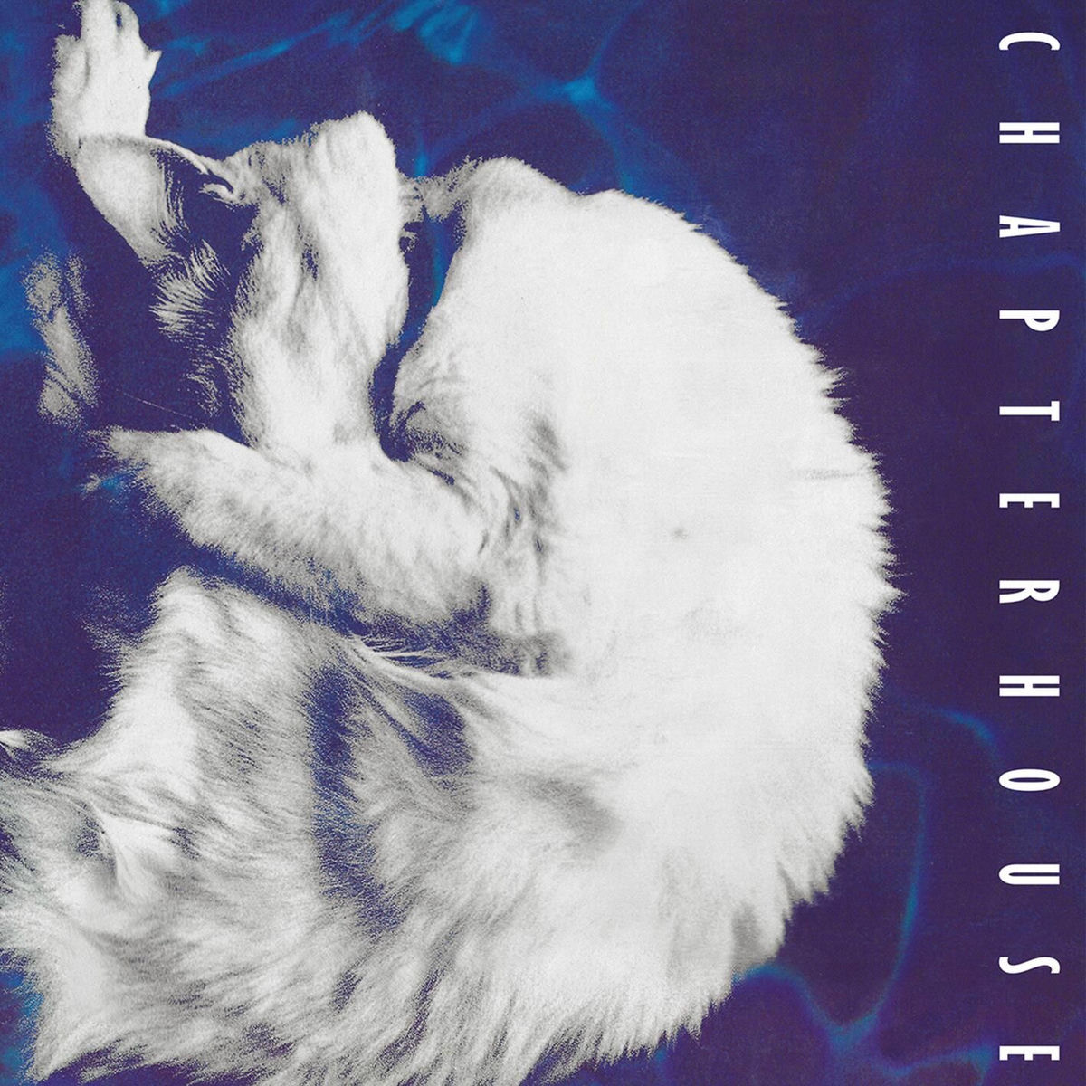 Album cover of Whirlpool, Before and After