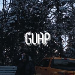 Cover of GUAP