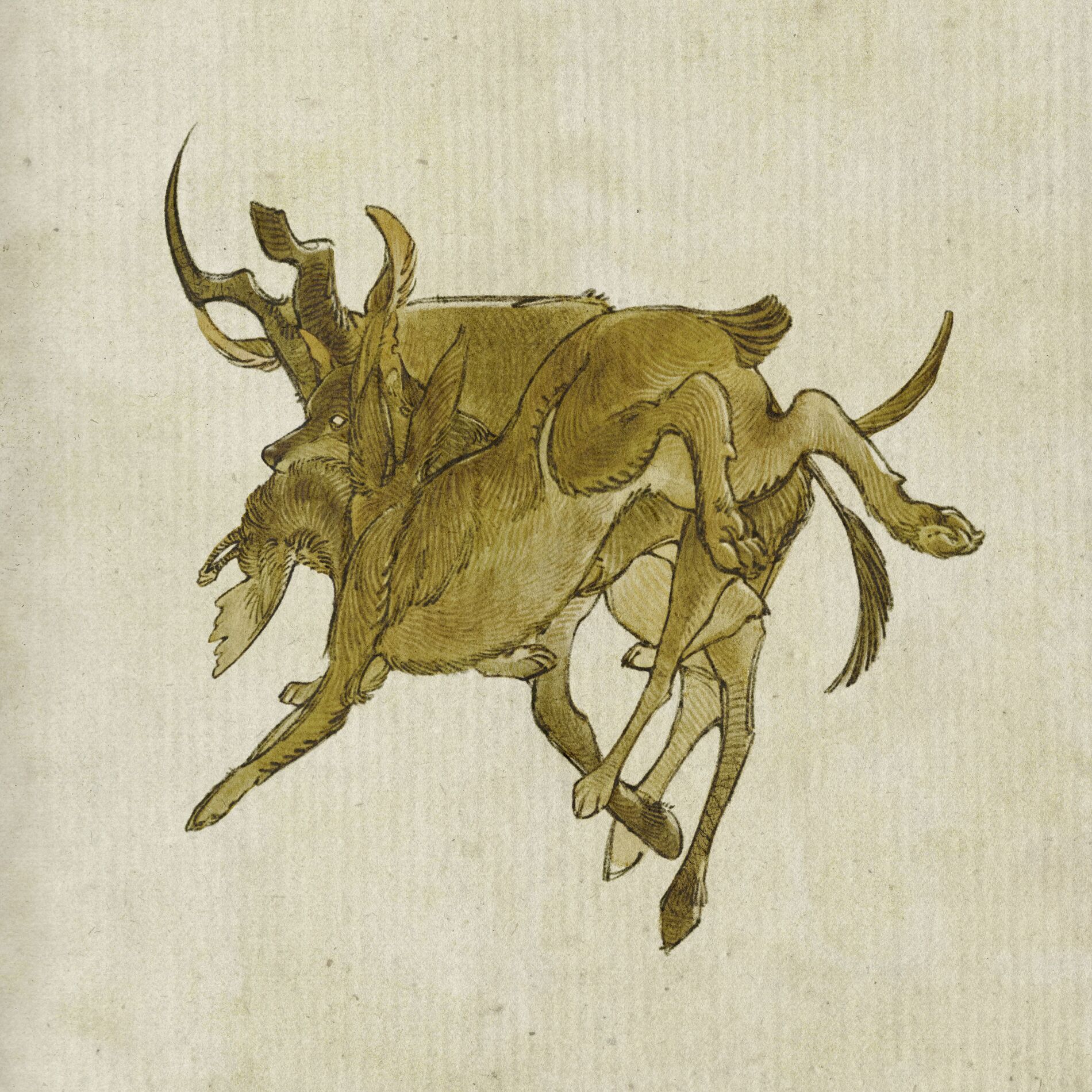 Album cover of Neath the grove is a heart