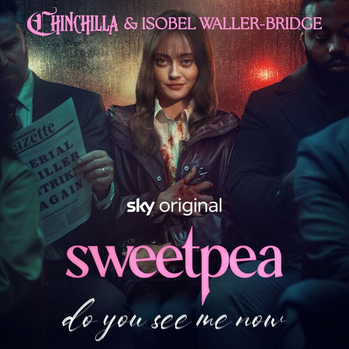 Album cover of Do You See Me Now (Music from the Original TV Series)