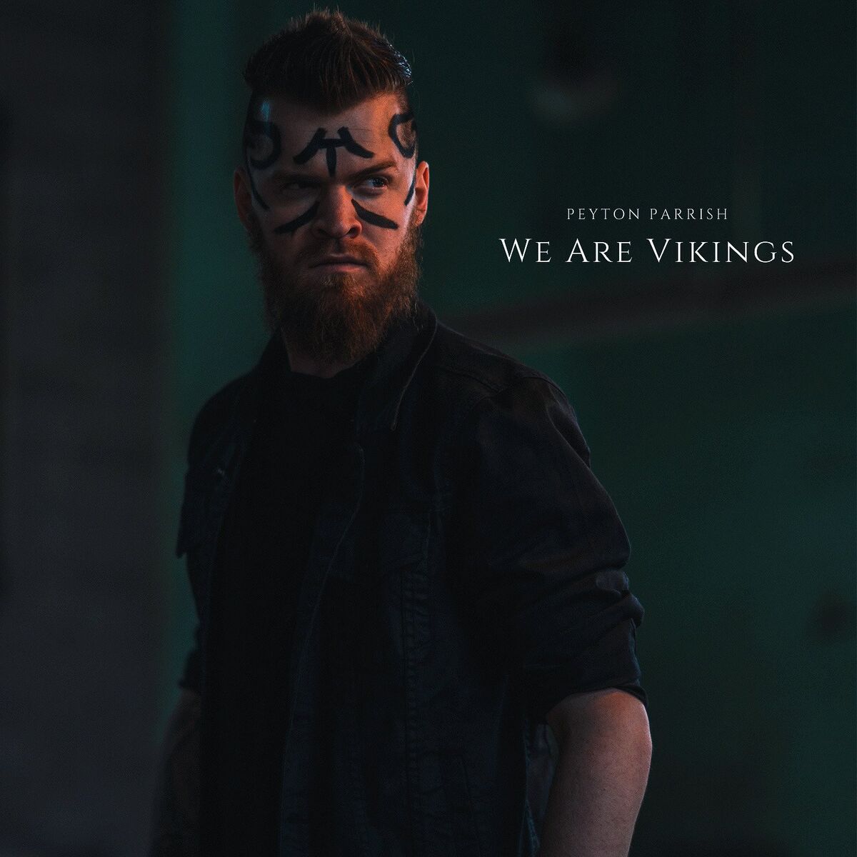 Album picture of We Are Vikings