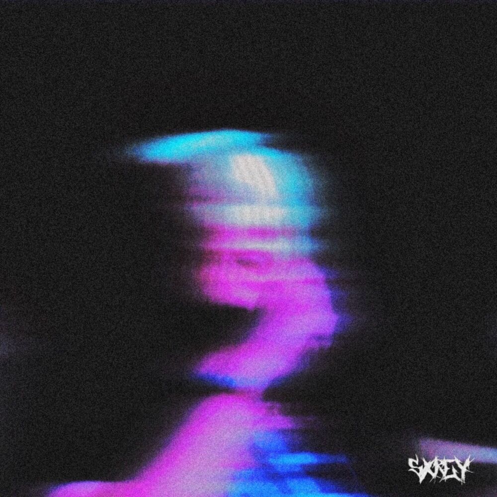 Picture of loneliness, liquor & longing (slowed + reverb) (Remixes)