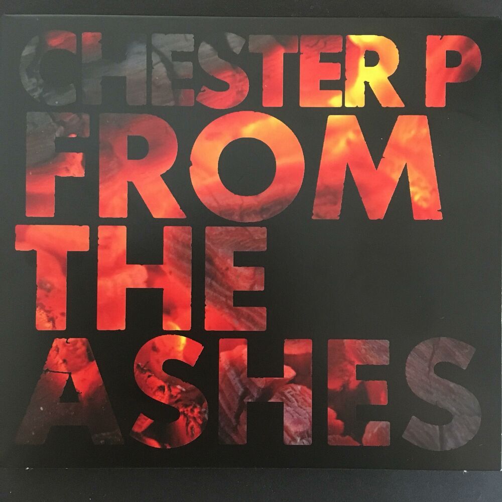 Picture of From the Ashes