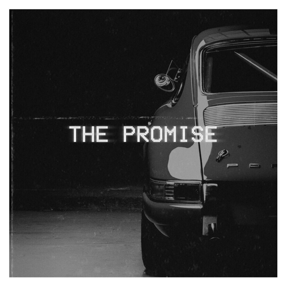 Picture of The Promise