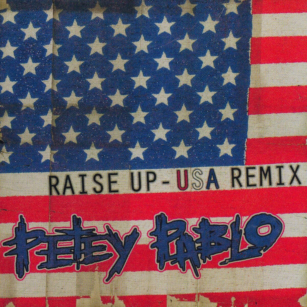 Album cover of Raise Up (USA Remix)