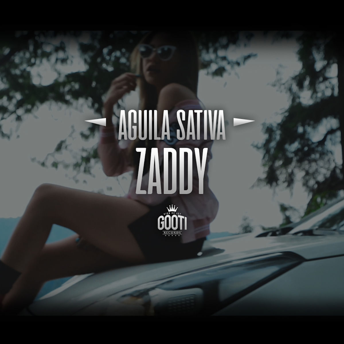 Album cover of Zaddy