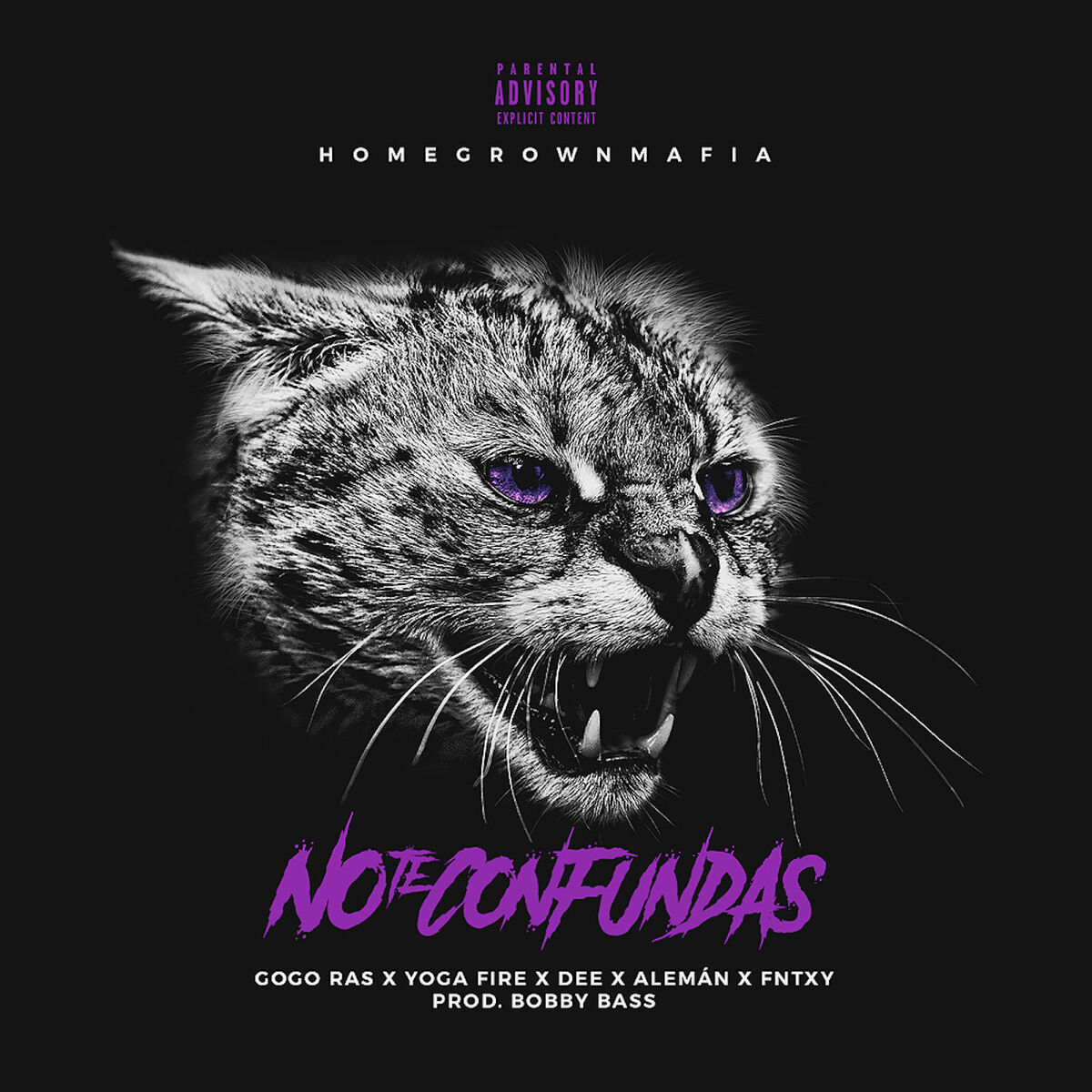 Album cover of No Te Confundas