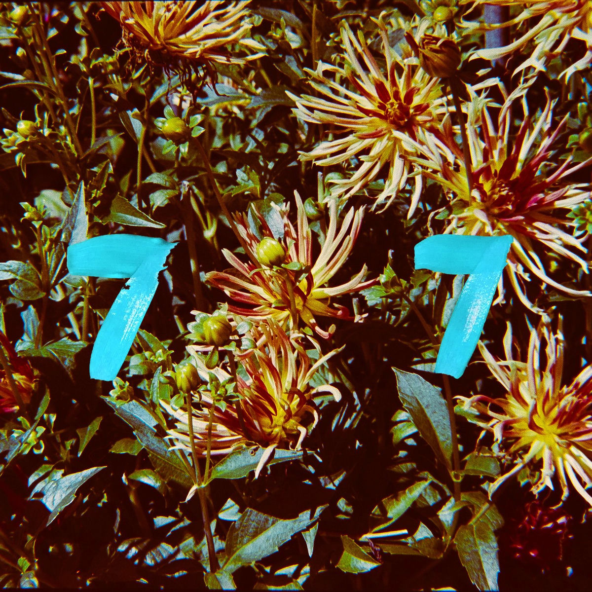 Album cover of Child