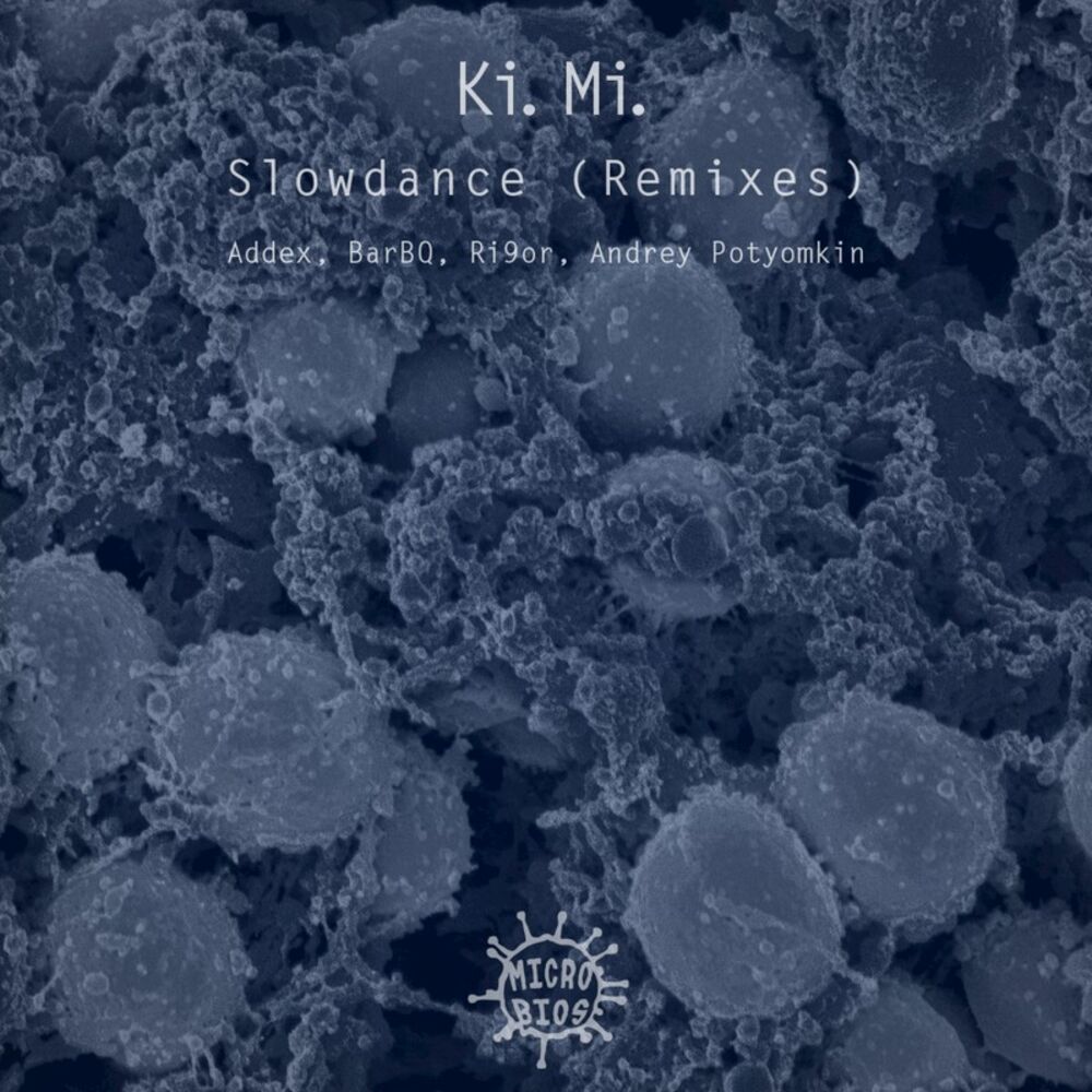 Picture of Slowdance (Remixes)