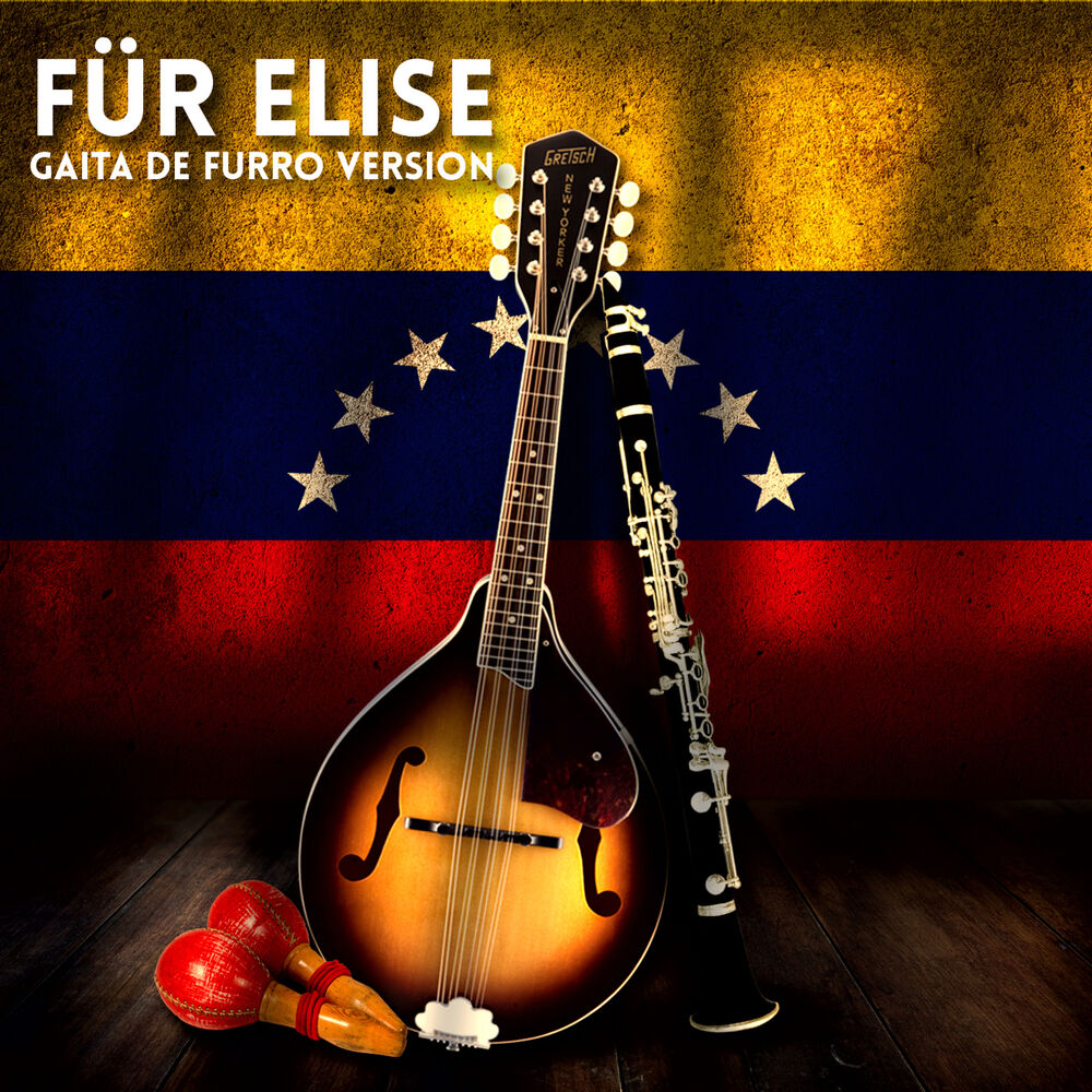 Picture of Für Elise (Gaita de Furro)
