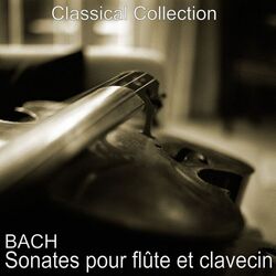 Cover of Bach : Sonates pour flûte et clavecin (Bach : Sonatas for recorder and harpsichord)