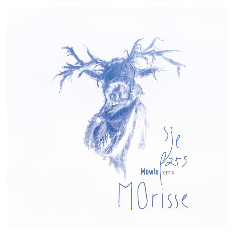 Picture of Si je pars (Mowlo remix)