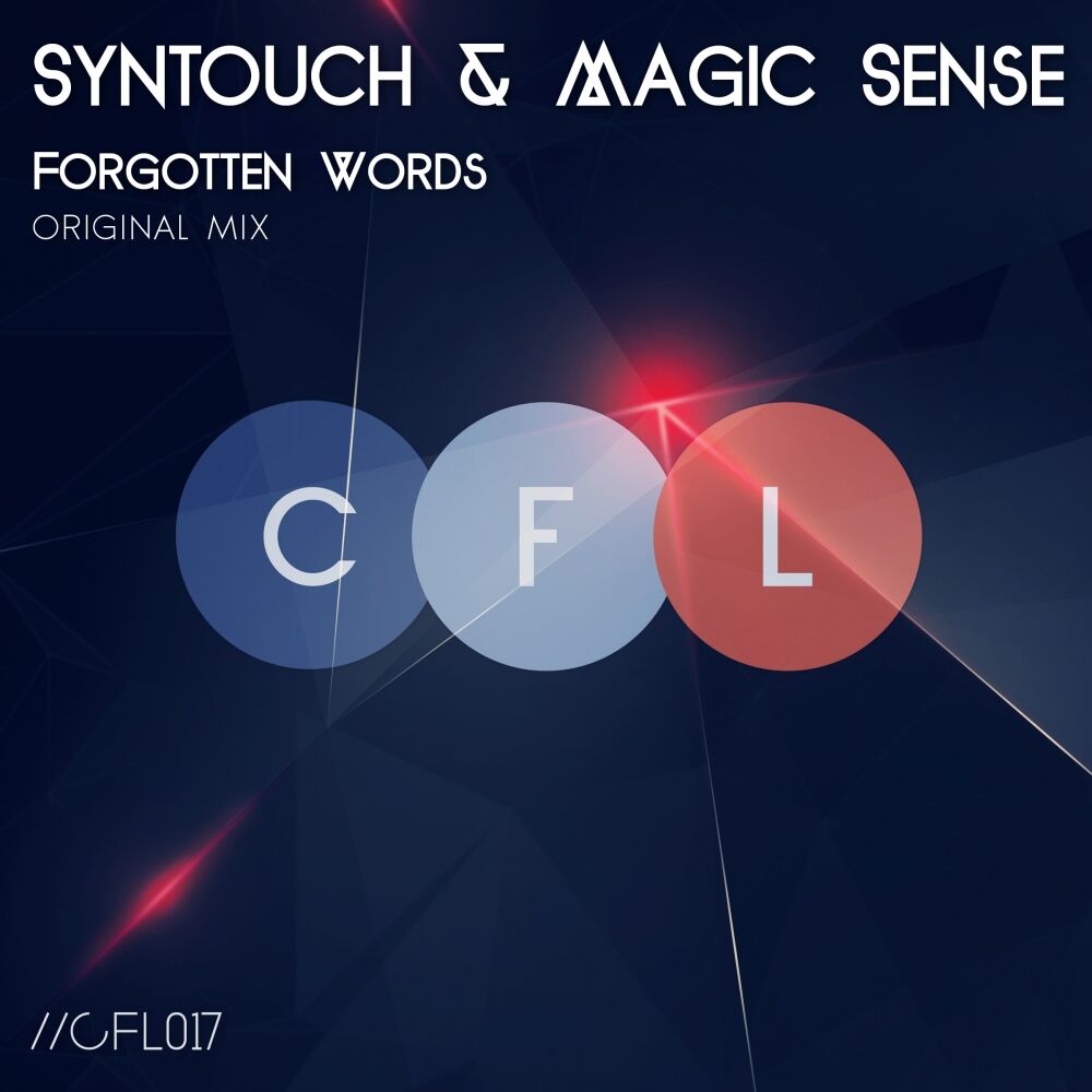 Picture of Forgotten Words