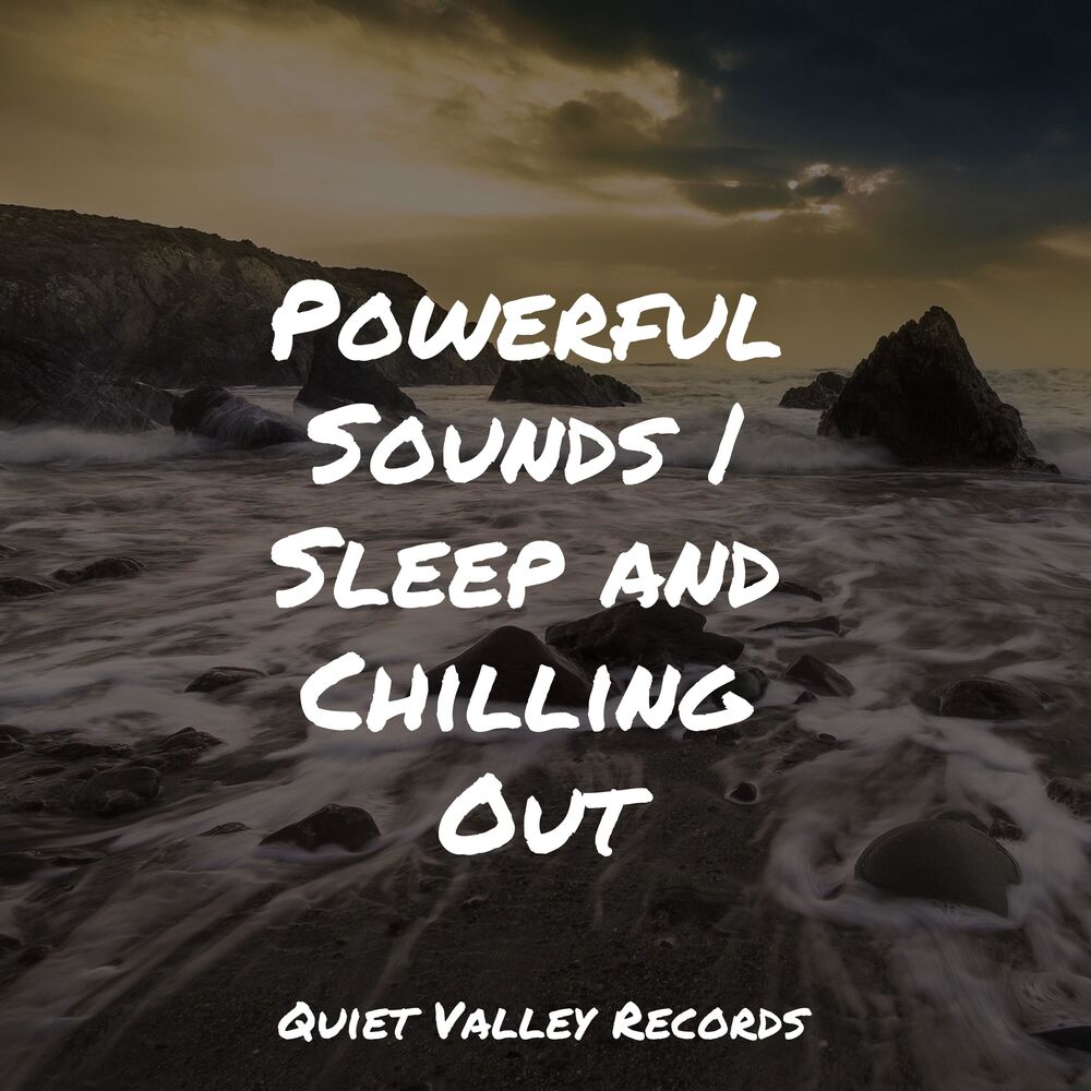 Picture of Powerful Sounds | Sleep and Chilling Out