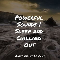 Cover of Powerful Sounds | Sleep and Chilling Out