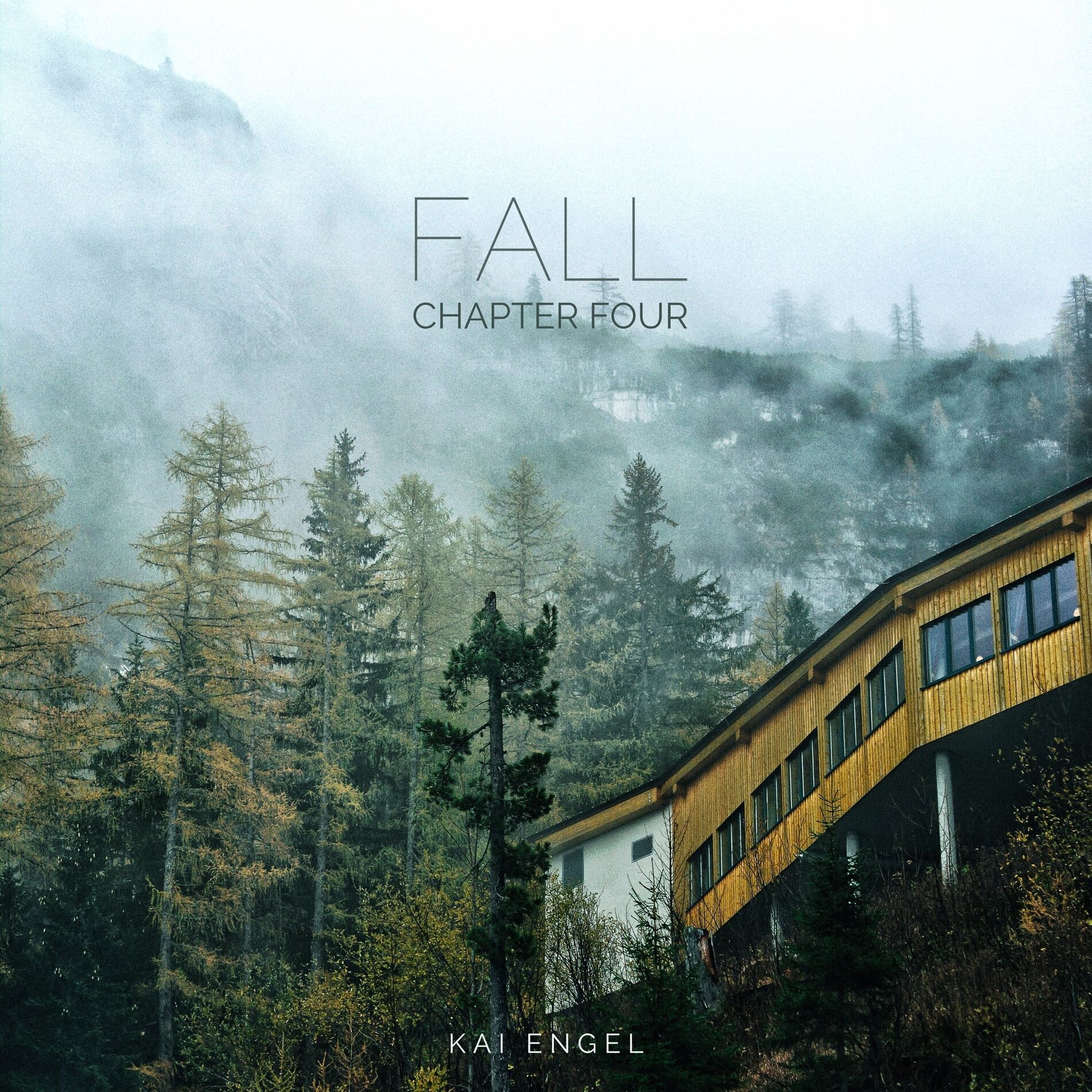 Album cover of November