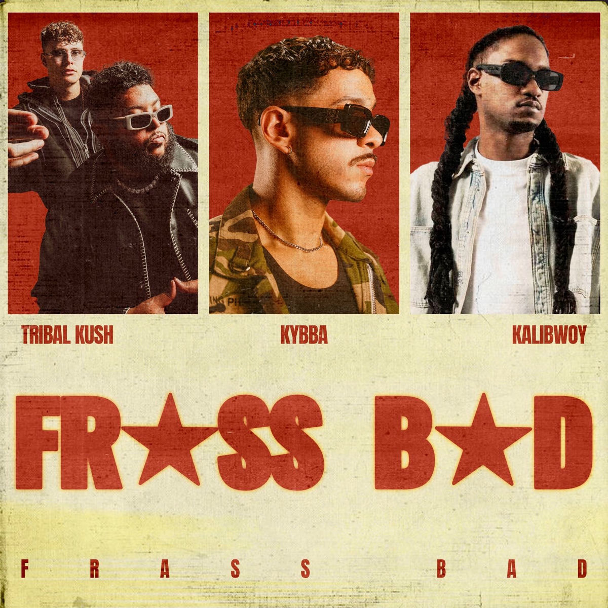 Album cover of Frass Bad