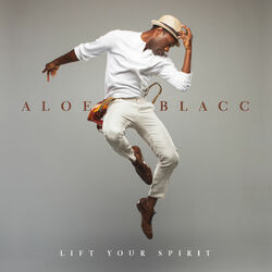 Cover of Lift Your Spirit