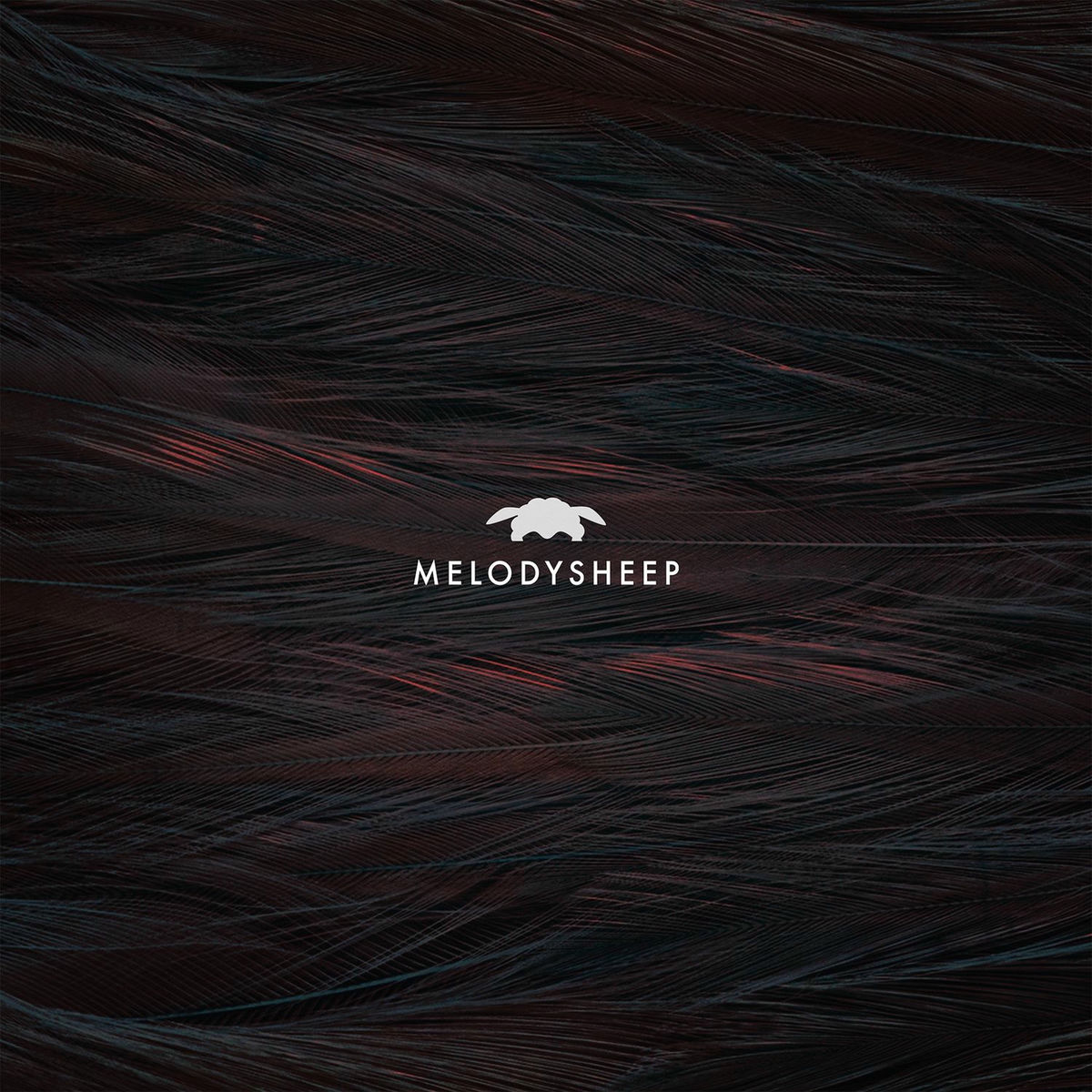 Album cover of Show Them to Freedom