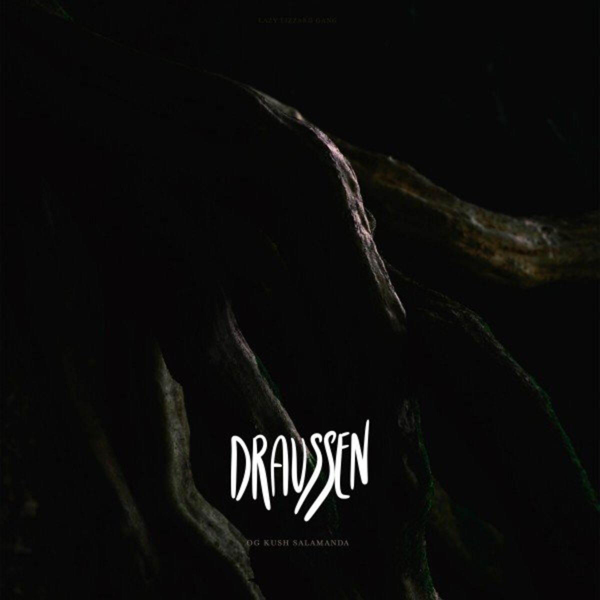 Album cover of Draussen