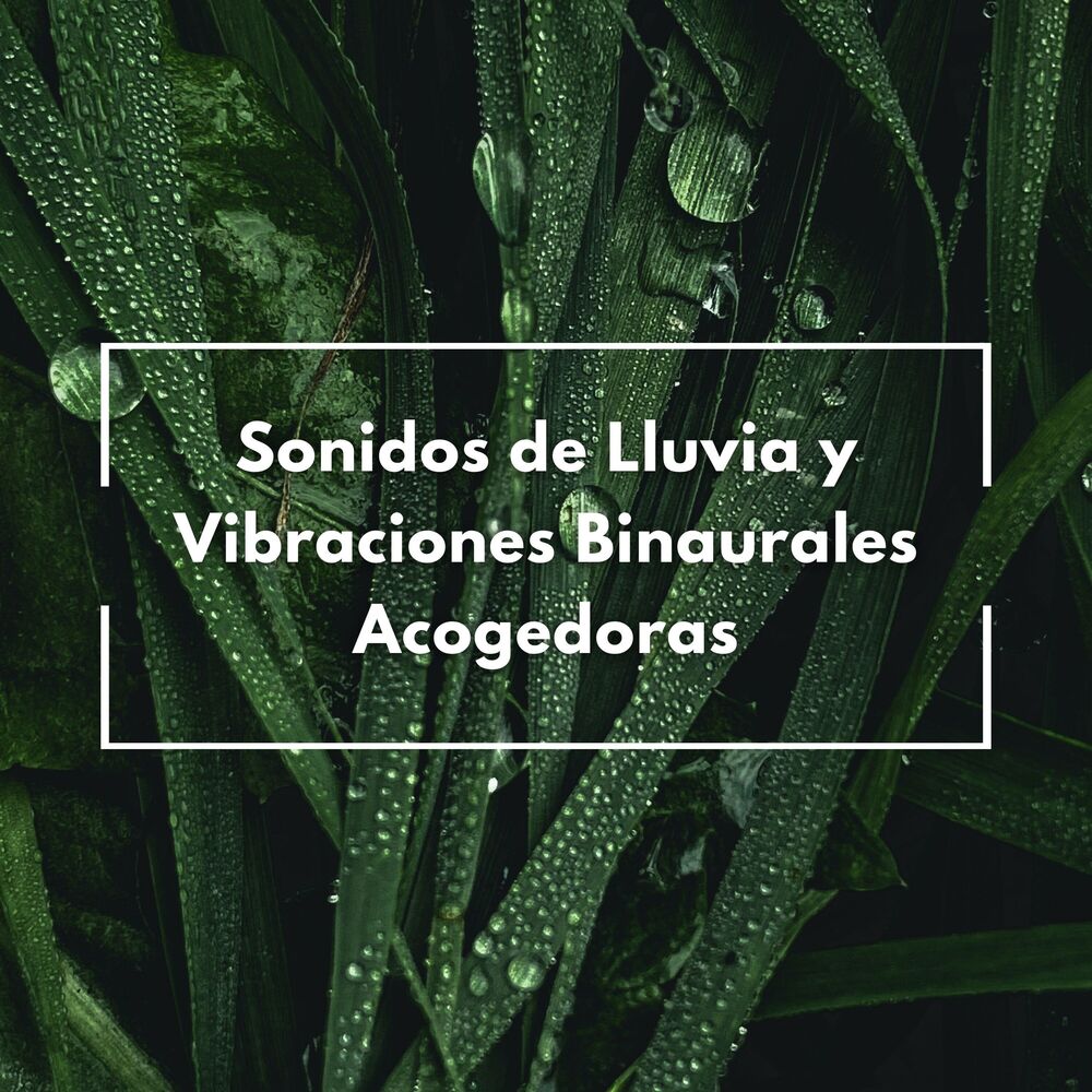 Picture of Sonidos De Lluvia Y Vibraciones Binaurales Acogedoras