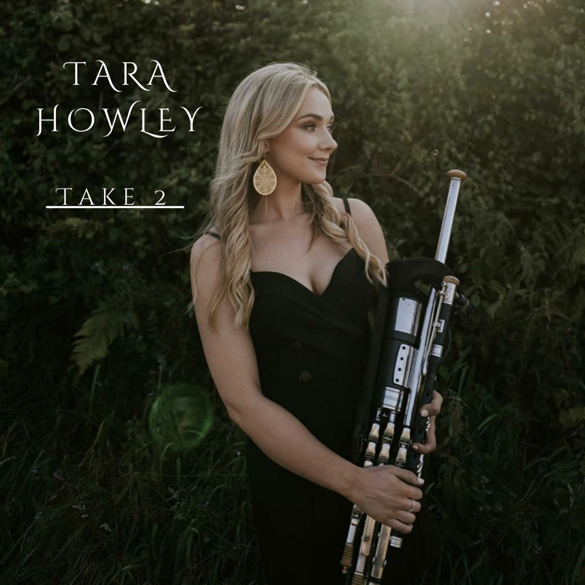 Album cover of Take 2