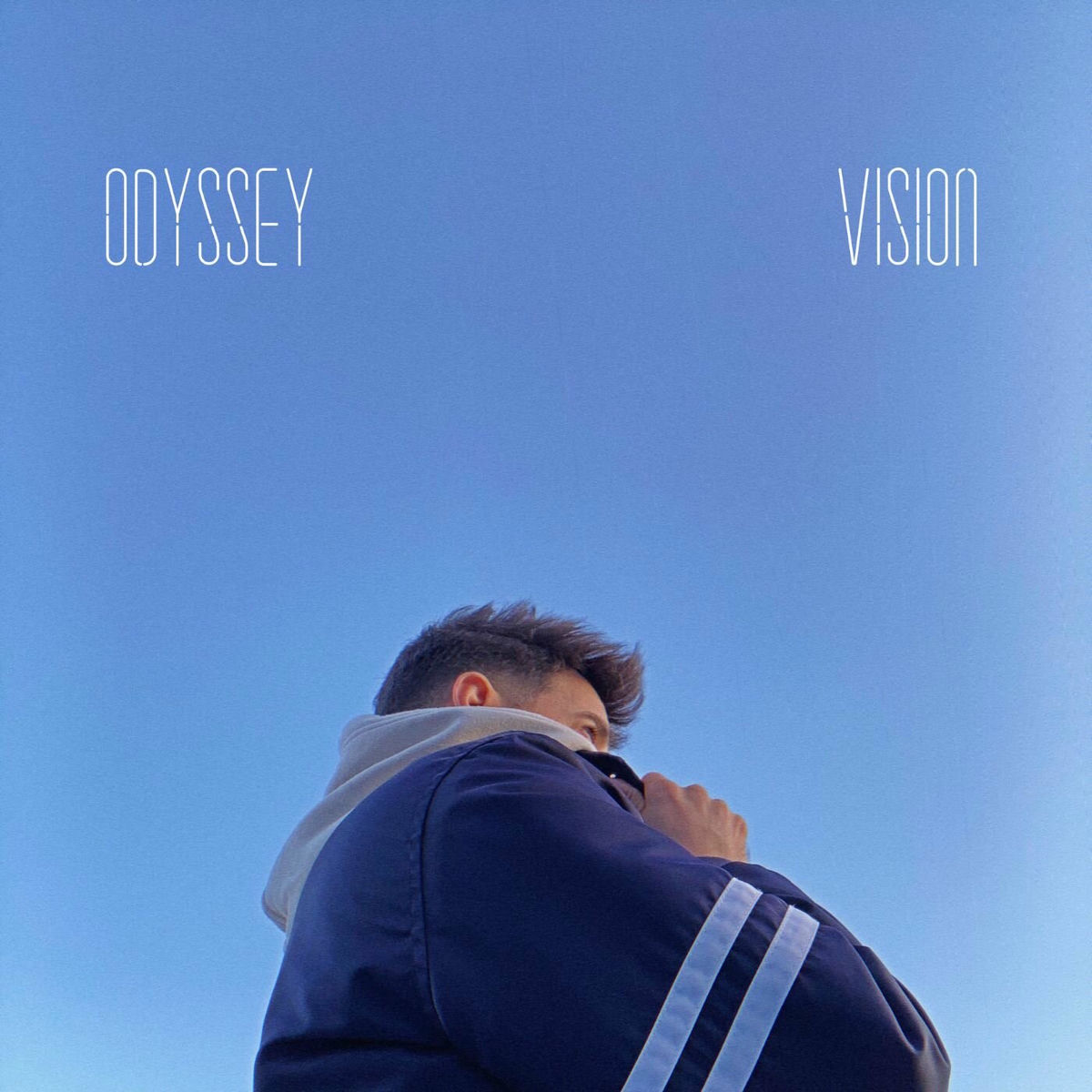 Album cover of Vision