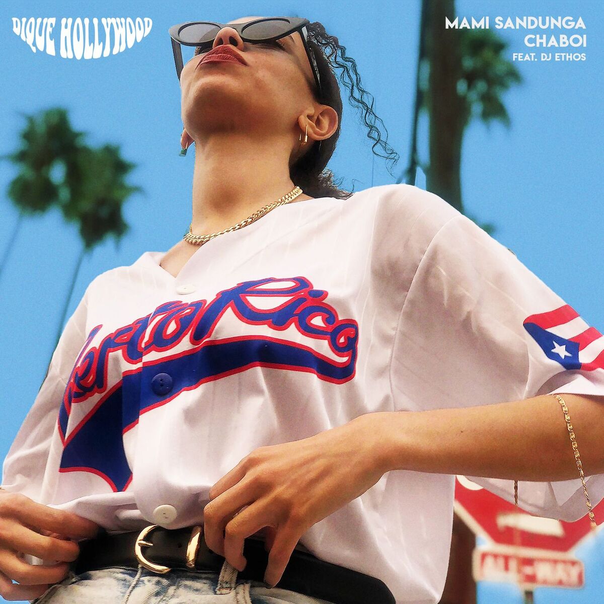 Album cover of Dique Hollywood