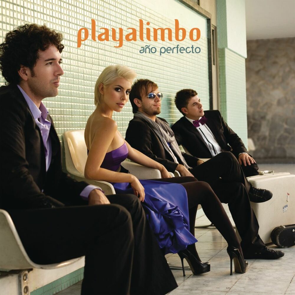 Picture of Año Perfecto