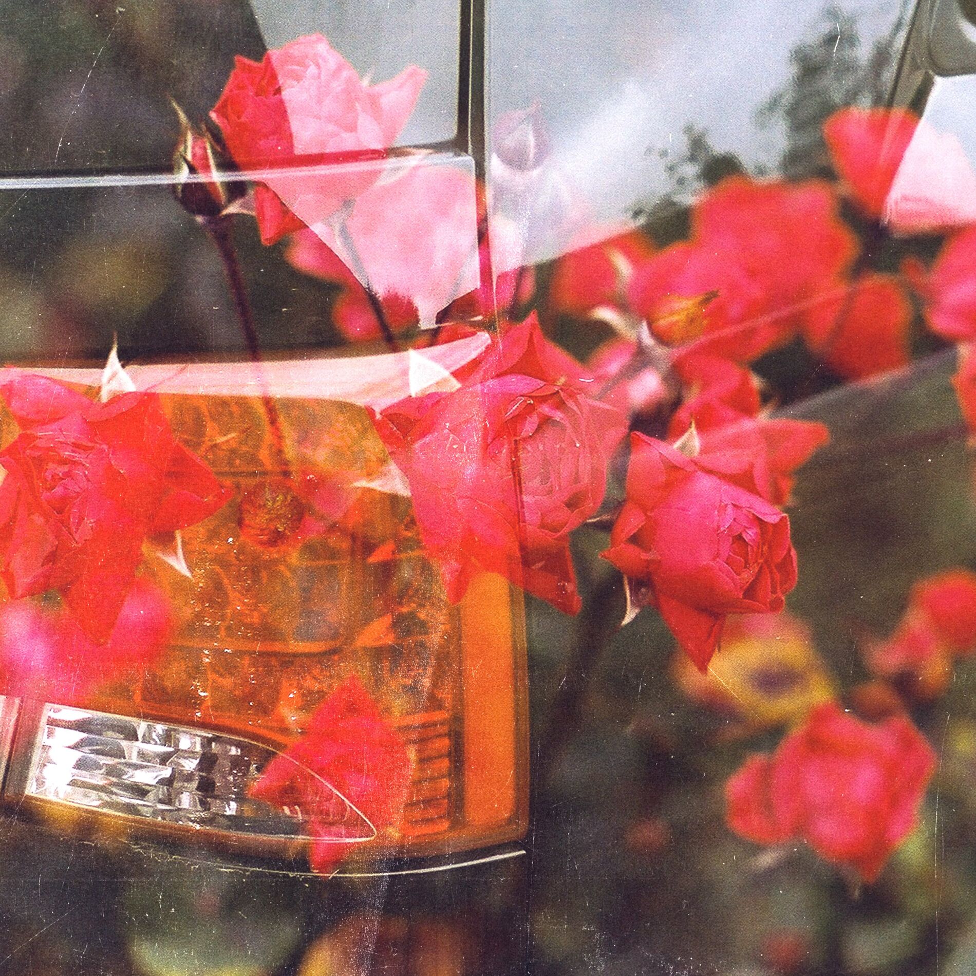 Album cover of Love
