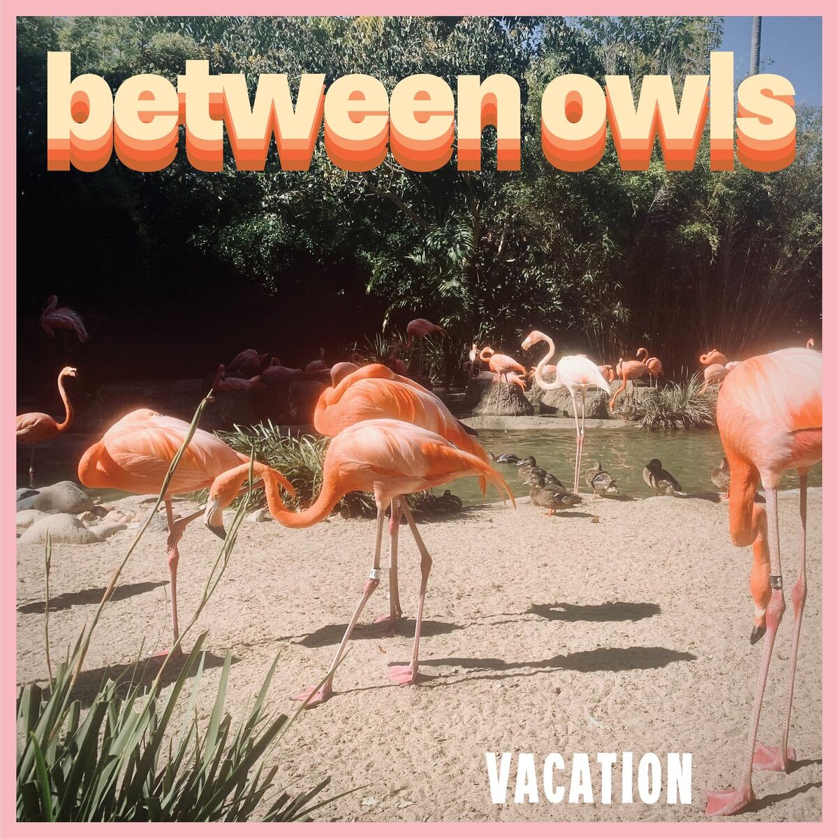 Album cover of Sweet Memory