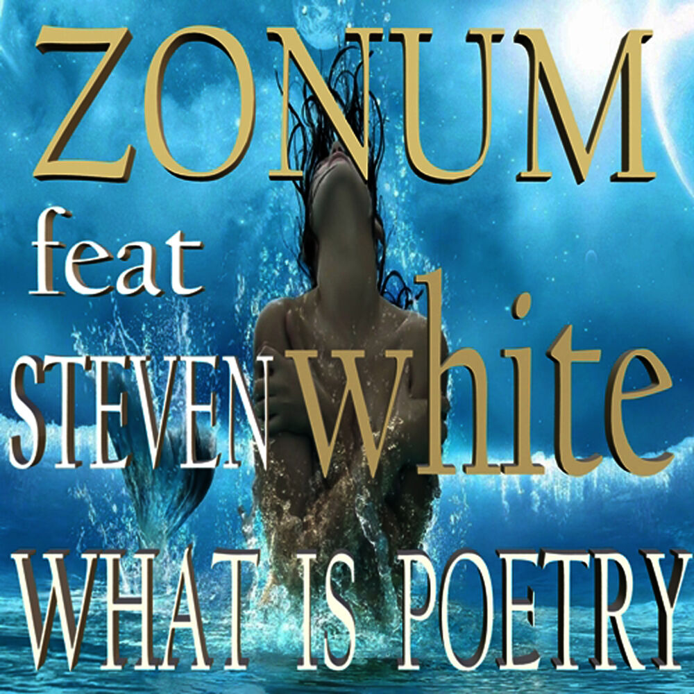 Picture of What Is Poetry
