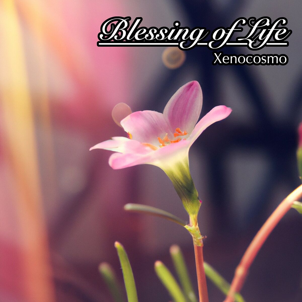 Album cover of Blessing of Life
