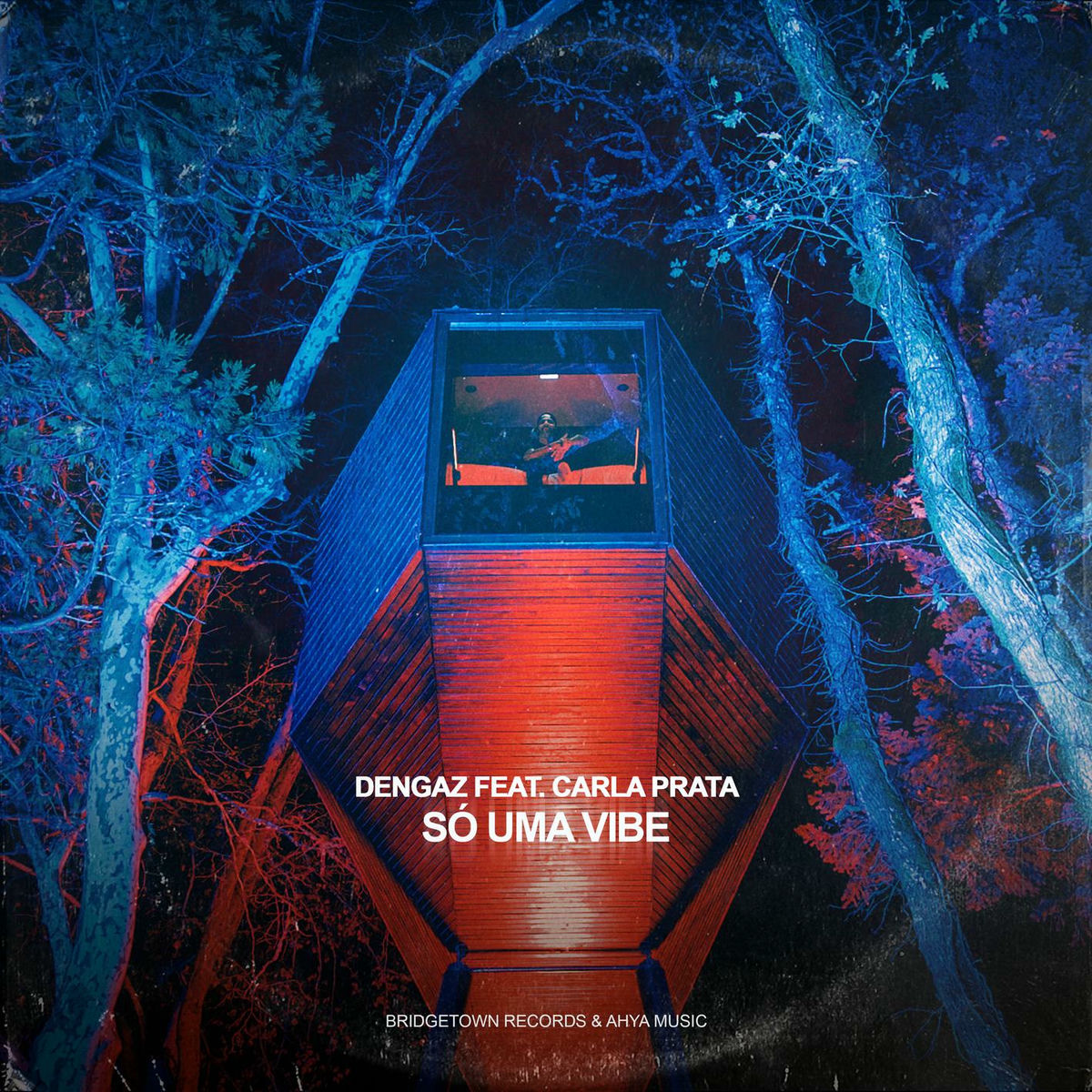 Album cover of Só Uma Vibe (Prod. Twins) (feat. Carla Prata)