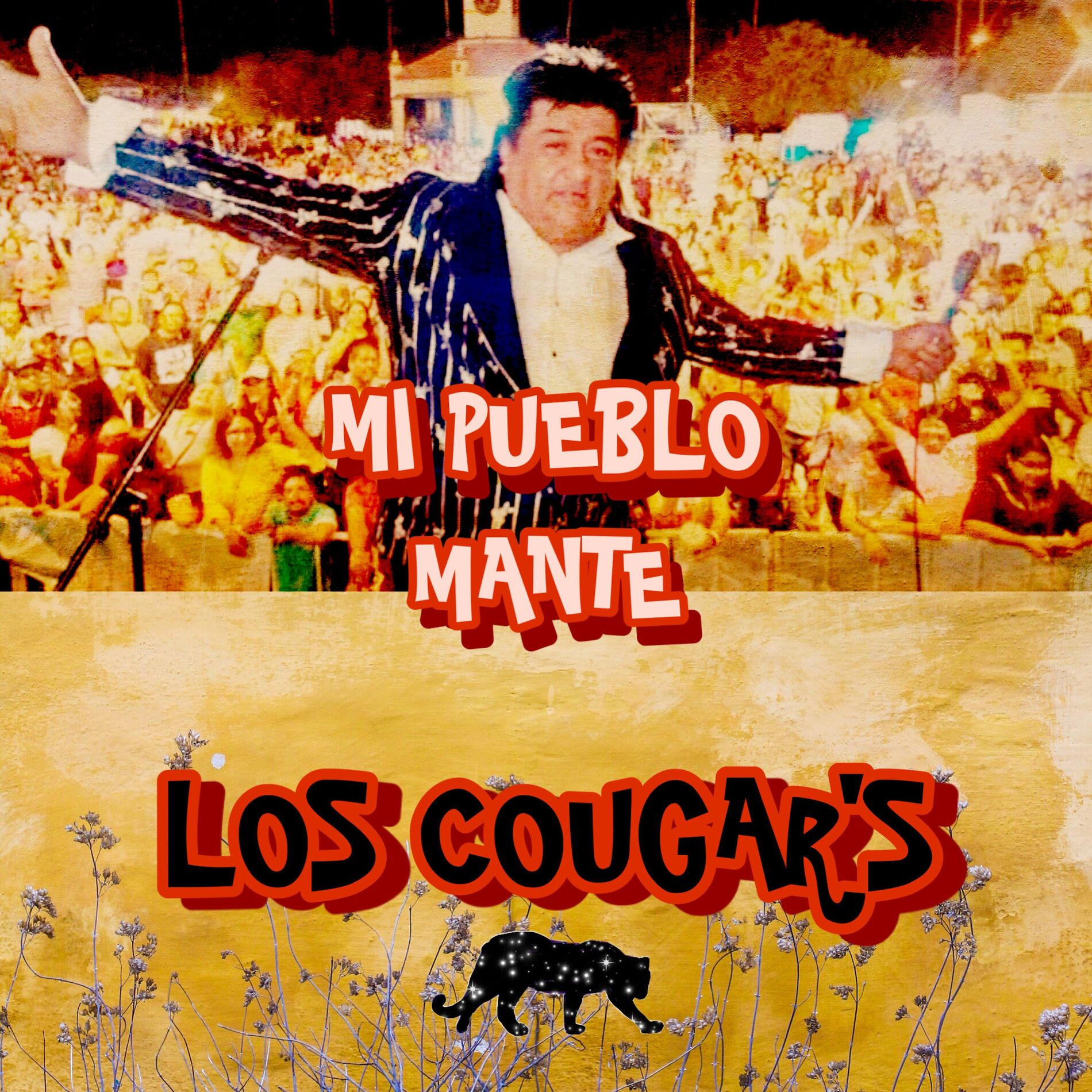 Album cover of Mi Pueblo Mante