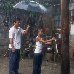 Cover of UMBRELLA