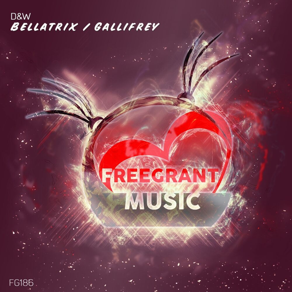 Picture of Bellatrix / Gallifrey