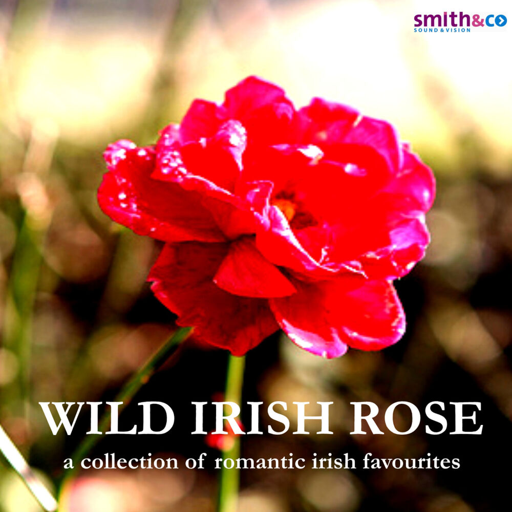 Picture of Wild Irish Rose - A Collection of Romantic Irish Favourites