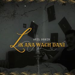 Cover of Lik Wach Dani