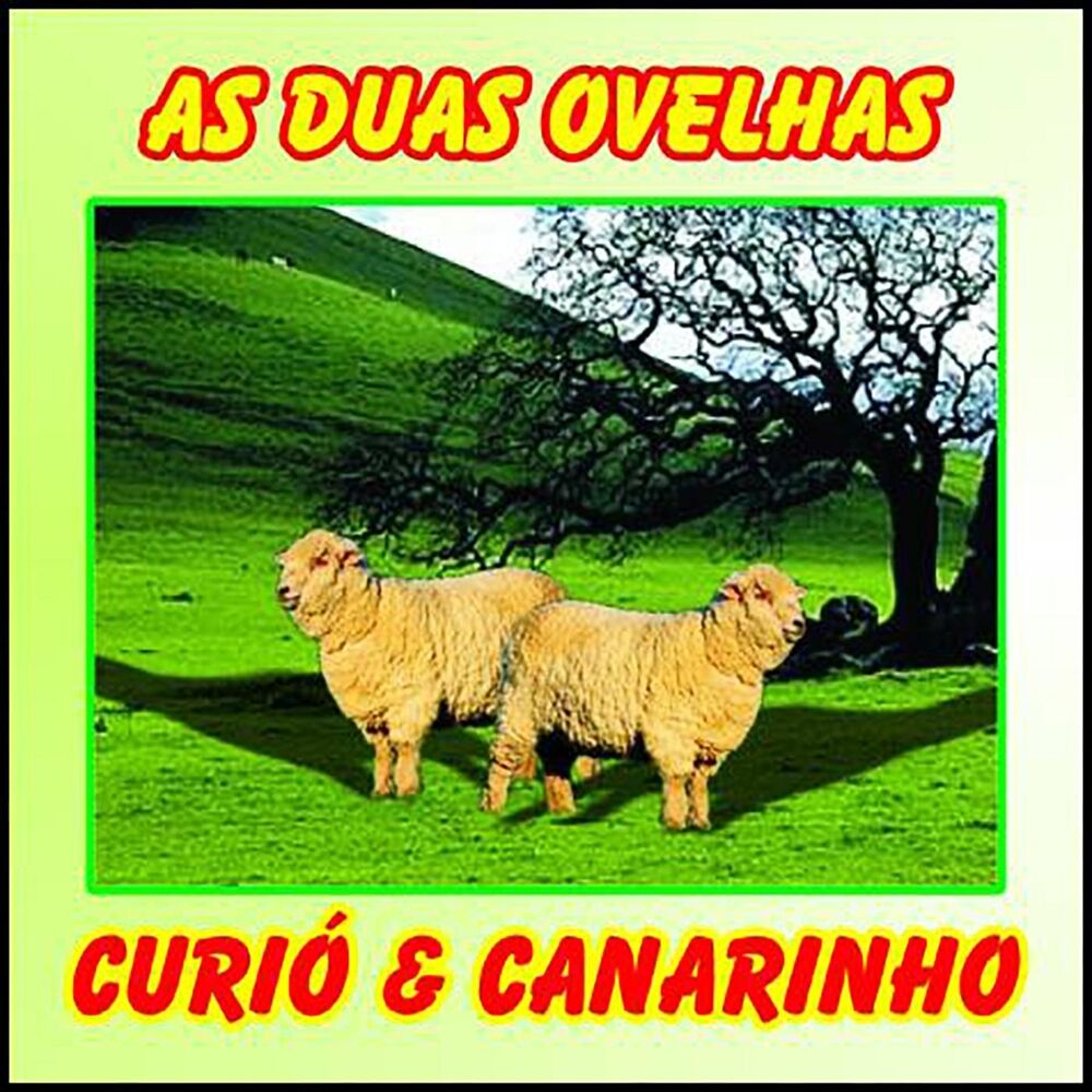 Picture of As Duas Ovelhas