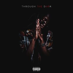Cover of Through the Dark