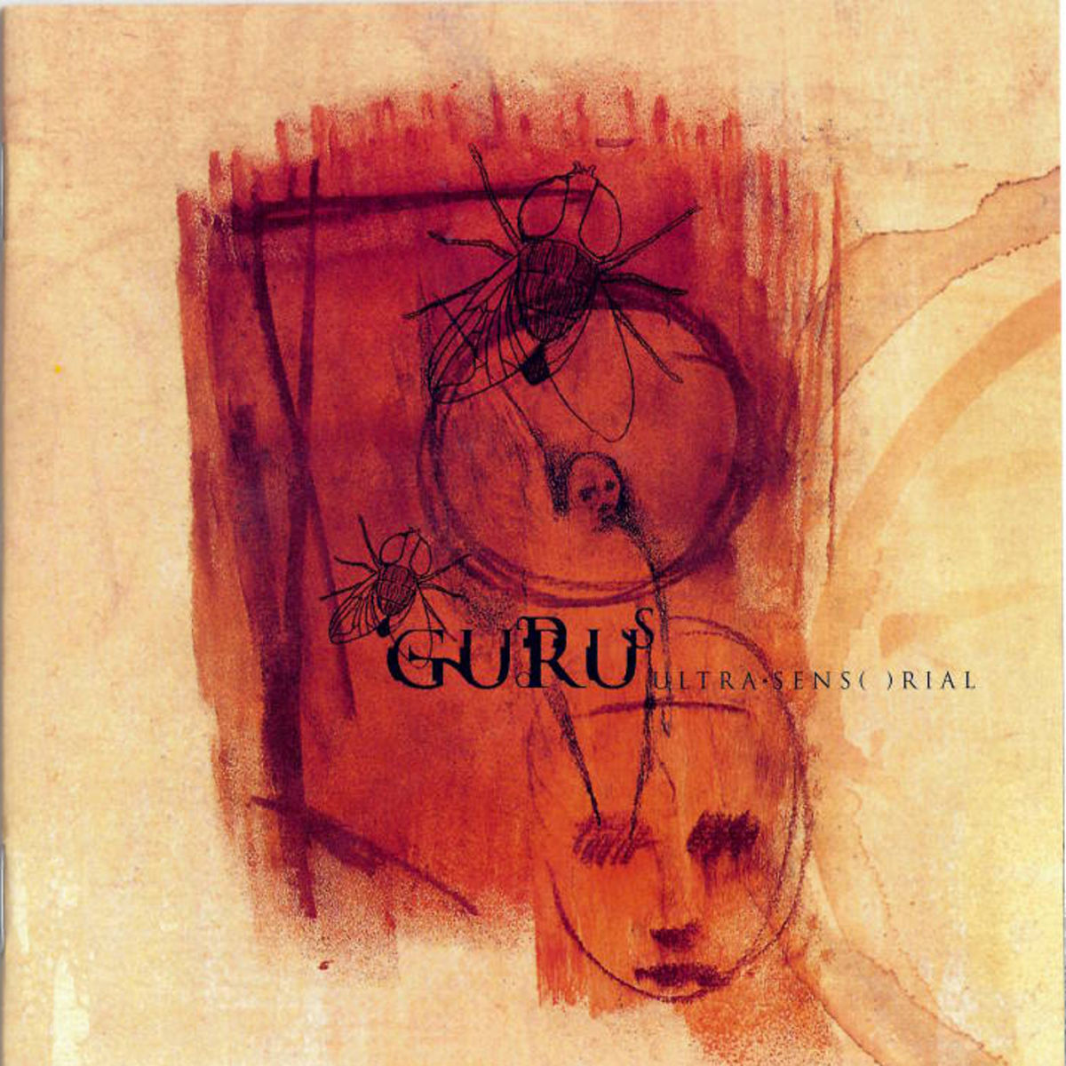 Album cover of Ultra Sensorial