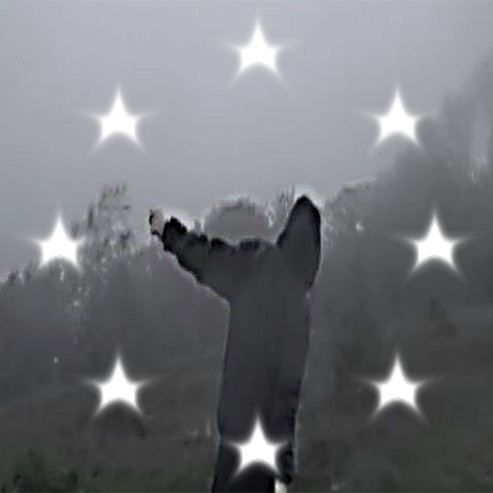 Album cover of Europa