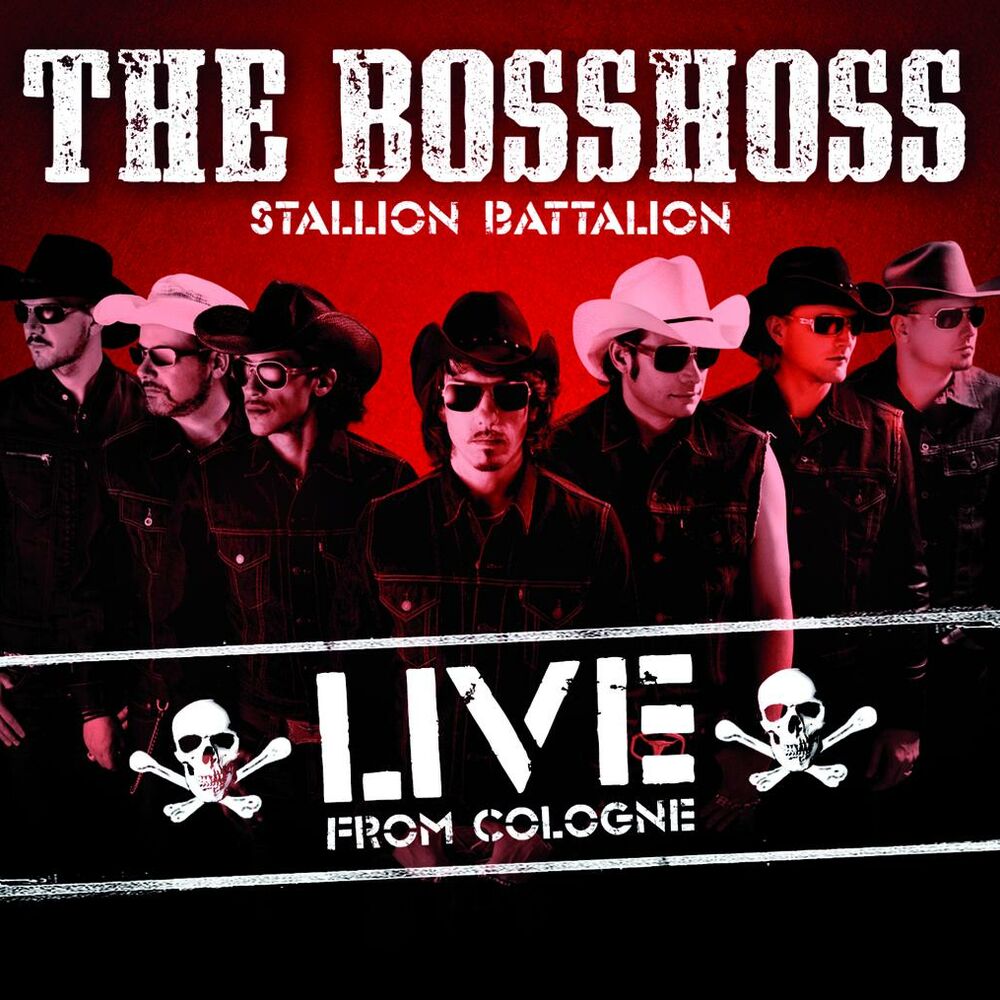 Picture of Stallion Battalion
