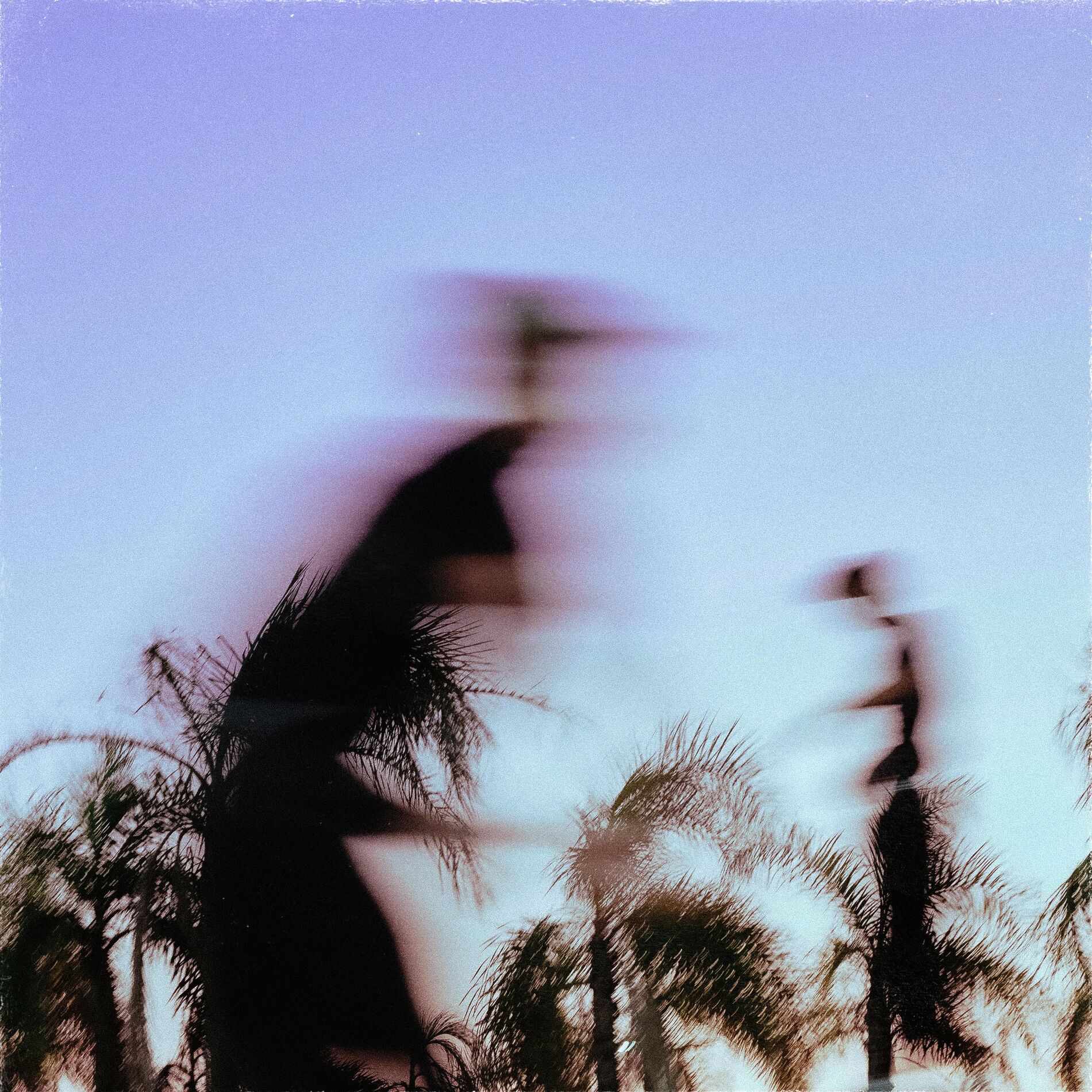 Album cover of Copa Cobana
