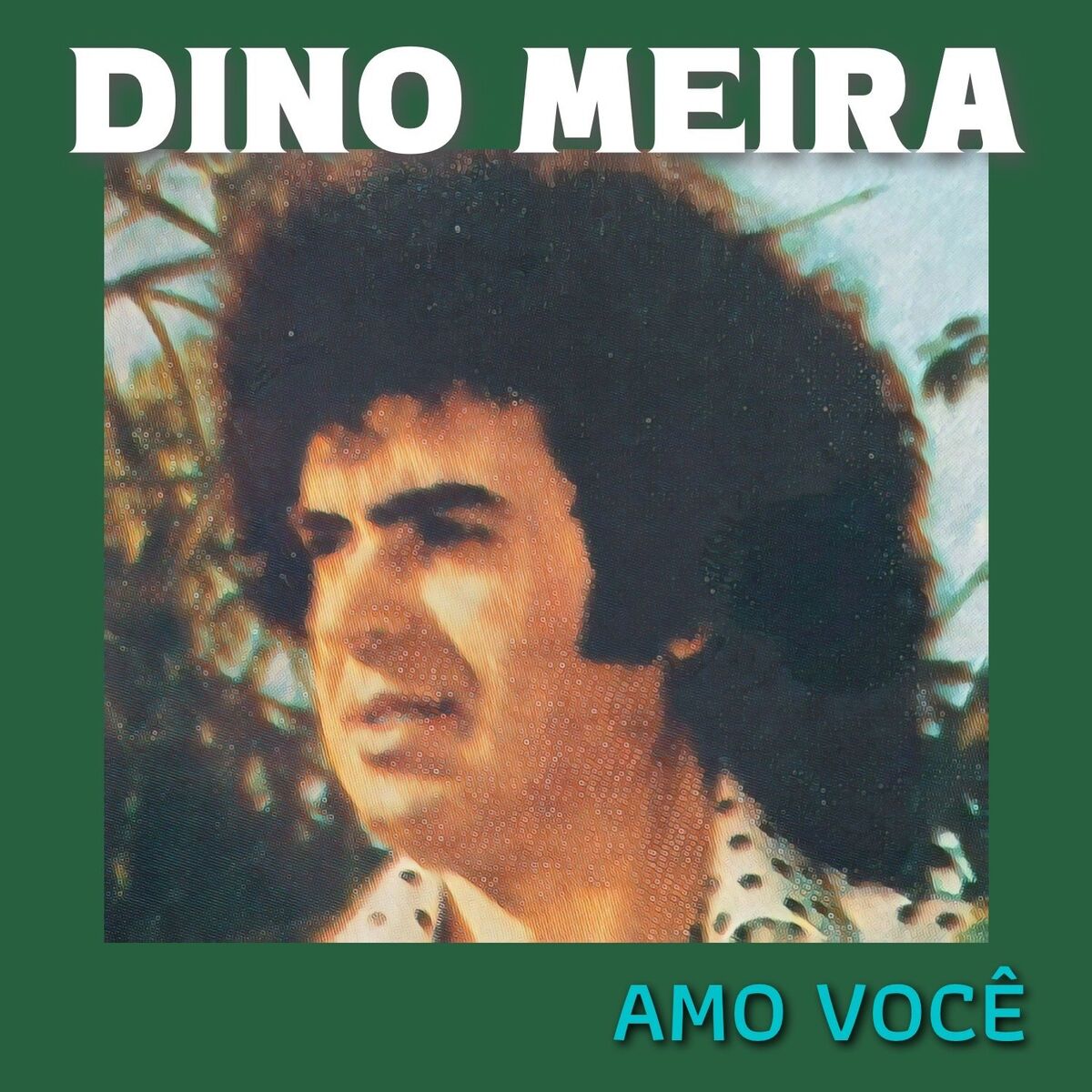 Album cover of Amo Você