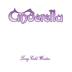 Cover of Long Cold Winter
