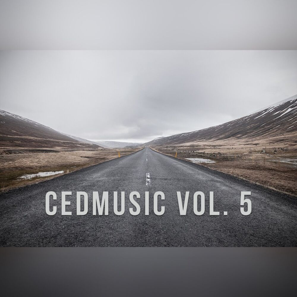 Picture of CedMusic Vol. 5
