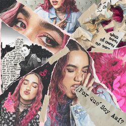 Cover of ¿Por Qué Soy Así?
